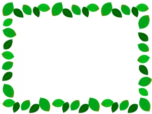 新緑の葉っぱのフレーム囲み飾り枠イラスト