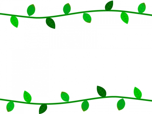 新緑の葉っぱとツタの上下フレーム飾り枠イラスト