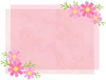 コスモスと重ねたピンクの紙のフレーム飾り枠イラスト