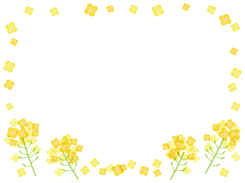 菜の花のフレーム飾り枠イラスト 無料イラスト かわいいフリー素材集 フレームぽけっと