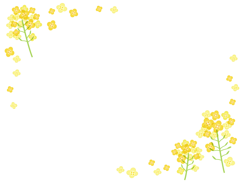 菜の花のフレーム飾り枠イラスト02 無料イラスト かわいいフリー素材集 フレームぽけっと