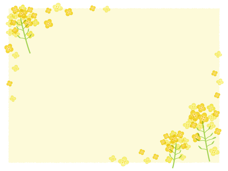 菜の花のフレーム飾り枠イラスト03 無料イラスト かわいいフリー素材集 フレームぽけっと