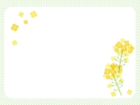菜の花と黄緑色の水玉模様の四角フレーム飾り枠イラスト