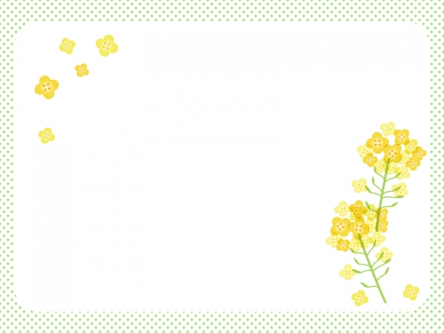 菜の花と黄緑色の水玉模様の四角フレーム飾り枠イラスト