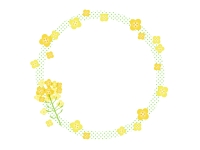 菜の花と黄緑色の水玉模様の円形フレーム飾り枠イラスト