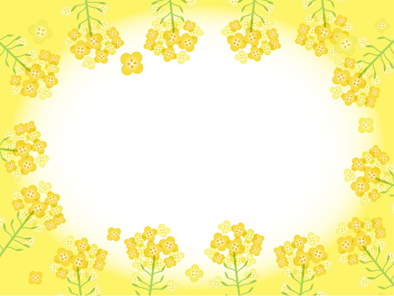 菜の花の黄色フレーム飾り枠イラスト 無料イラスト かわいいフリー素材集 フレームぽけっと