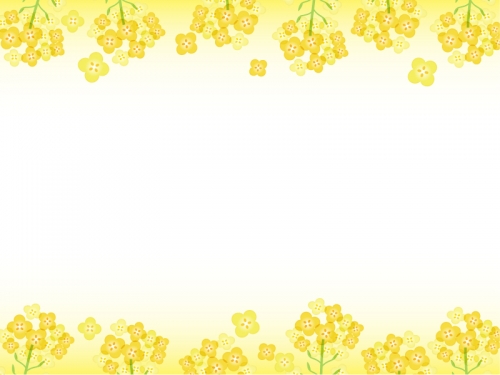 菜の花の黄色い上下フレーム飾り枠イラスト