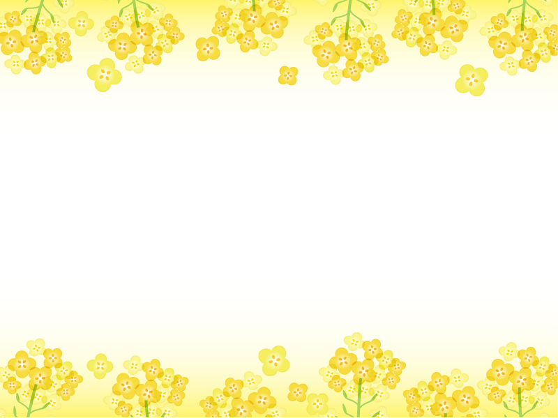 菜の花の黄色い上下フレーム飾り枠イラスト 無料イラスト かわいいフリー素材集 フレームぽけっと