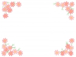 四隅のコスモスの花のフレーム飾り枠イラスト