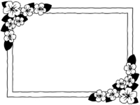 ハイビスカスの花の白黒四角フレーム飾り枠イラスト