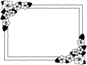 ハイビスカスの花の白黒四角フレーム飾り枠イラスト