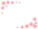 グラデーションの桜の花の二隅のフレーム飾り枠イラスト