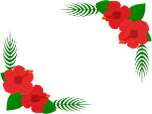 2隅のハイビスカスの花のフレーム飾り枠イラスト