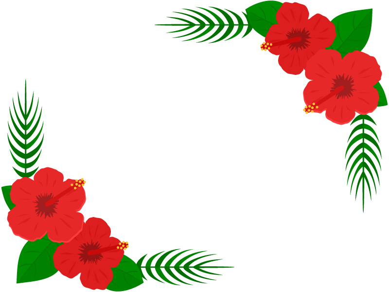 2隅のハイビスカスの花のフレーム飾り枠イラスト 無料イラスト かわいいフリー素材集 フレームぽけっと