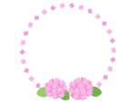 ピンクの紫陽花の花の円形リースフレーム飾り枠イラスト