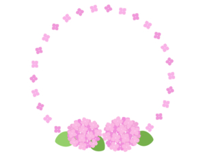 ピンクの紫陽花の花の円形リースフレーム飾り枠イラスト