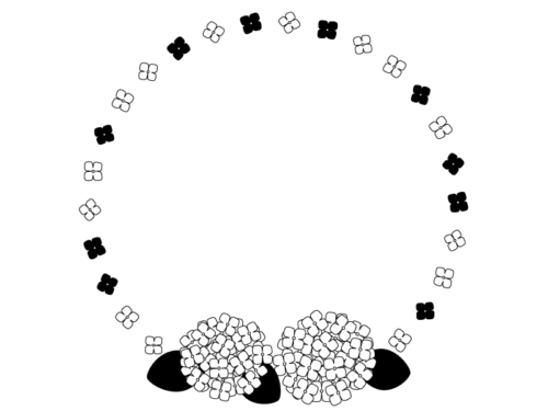 紫陽花の花の白黒円形リースフレーム飾り枠イラスト