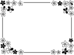 四隅の桜の花と線の白黒フレーム飾り枠イラスト