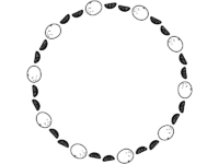 みかんと房の白黒円形フレーム飾り枠イラスト